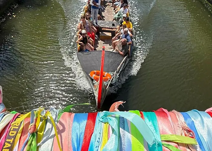 White Garden * Aveiro